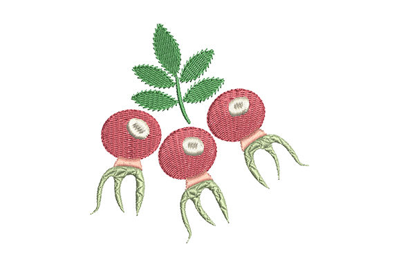 Red Rose Hips with a Green Leaf: A Versatile Design